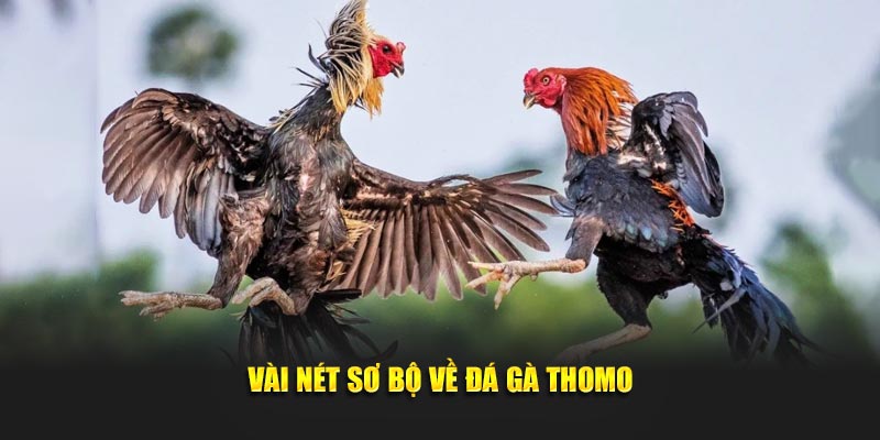 da-ga-thomo-2